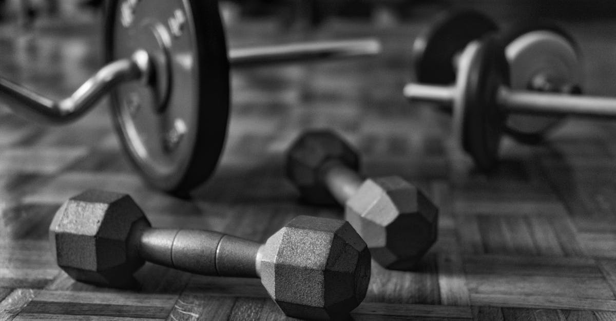 Push Pull Legs Workout